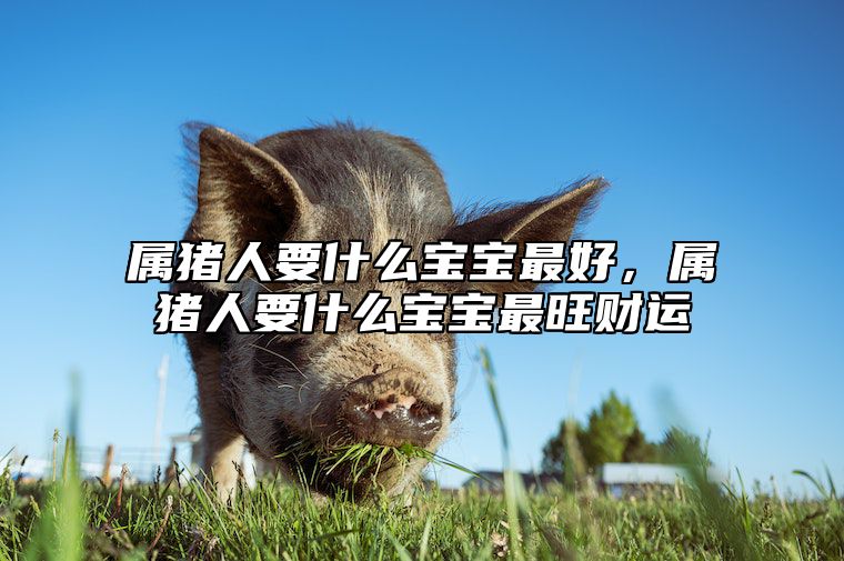 属猪人要什么宝宝最好，属猪人要什么宝宝最旺财运 属猪的宝宝旺什么属相的父母