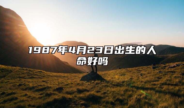 1987年4月23日出生的人命好吗 八字运势、婚姻、事业详解