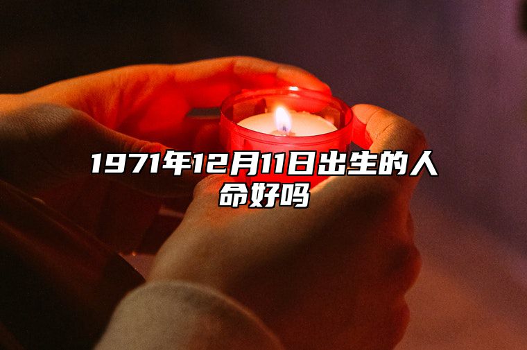 1971年12月11日出生的人命好吗 是什么命