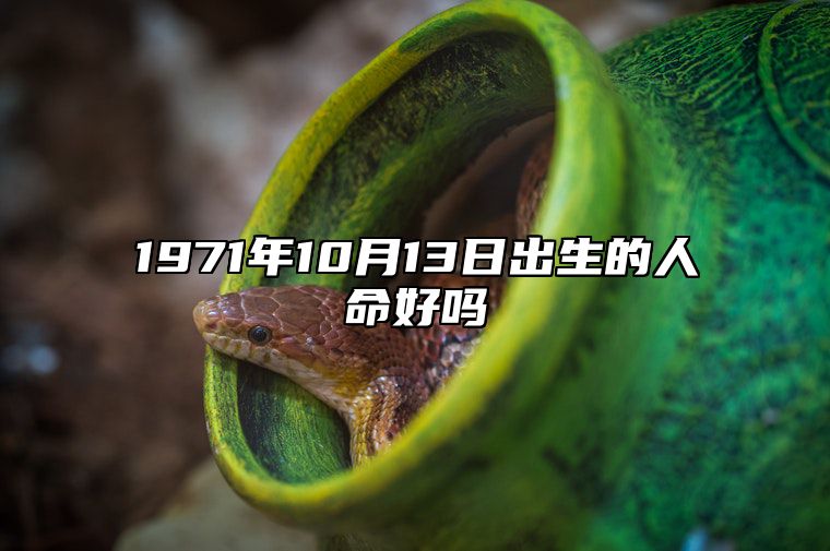 1971年10月13日出生的人命好吗 此日不同时辰八字运势分析