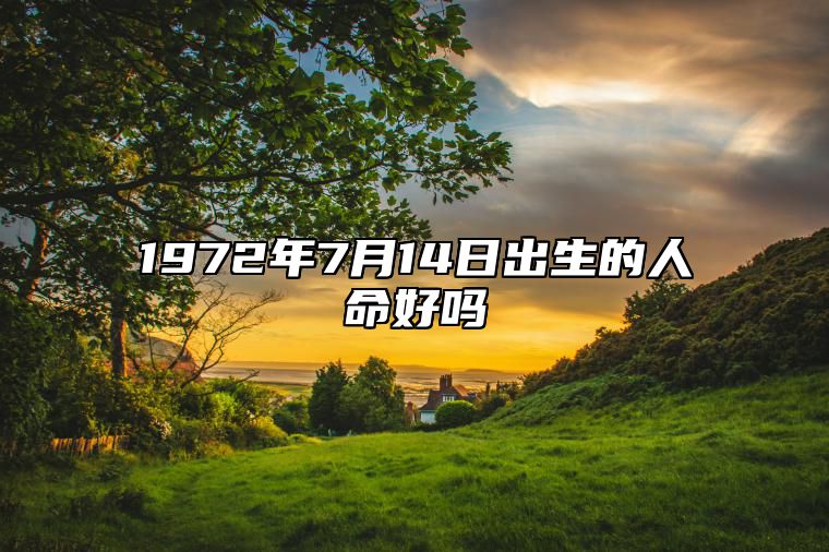 1972年7月14日出生的人命好吗 生辰八字、事业财运详解