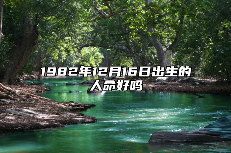 1982年12月16日出生的人命好吗 不同时辰八字运势详解