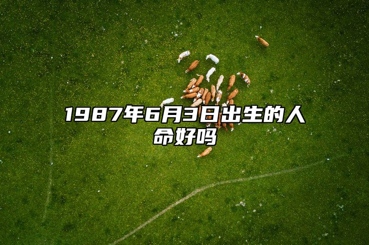 1987年6月3日出生的人命好吗 生辰八字五行解析