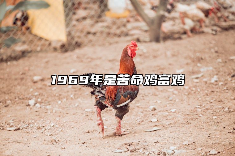 1969年是苦命鸡富鸡 69年苦命鸡2020年必有一难