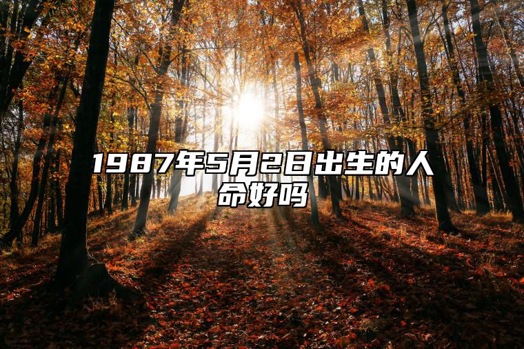 1987年5月2日出生的人命好吗 生辰八字、感情婚姻详解