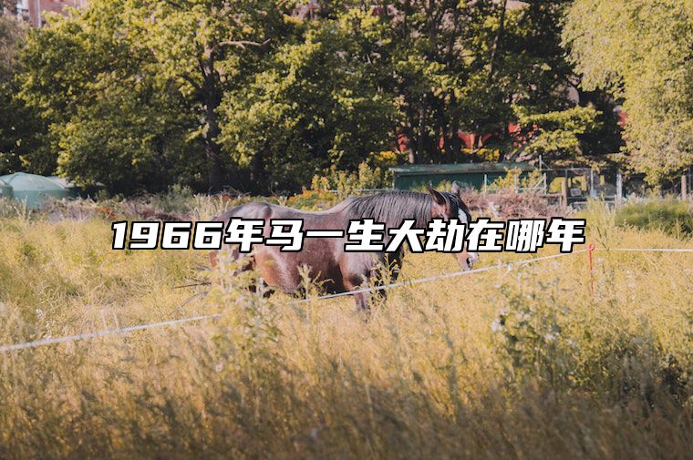 1966年马一生大劫在哪年 1966年属马大运是哪一年