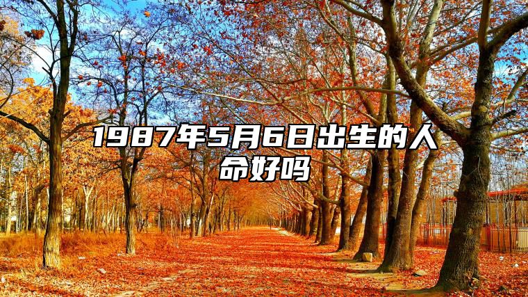 1987年5月6日出生的人命好吗 生辰八字、感情婚姻详解