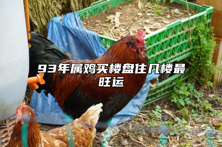 93年属鸡买楼盘住几楼最旺运 属鸡的买房十六忌