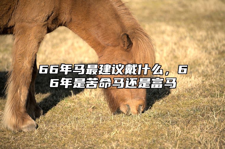 66年马最建议戴什么，66年是苦命马还是富马 66年的马佩戴什么饰品最合适