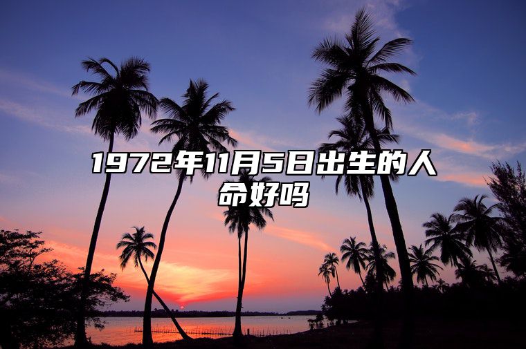 1972年11月5日出生的人命好吗 生辰八字分析