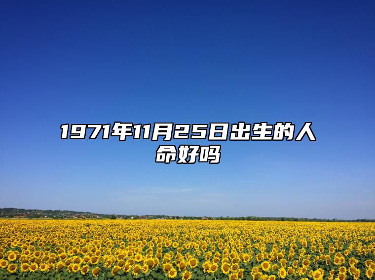 1971年11月25日出生的人命好吗 不同时辰八字分析