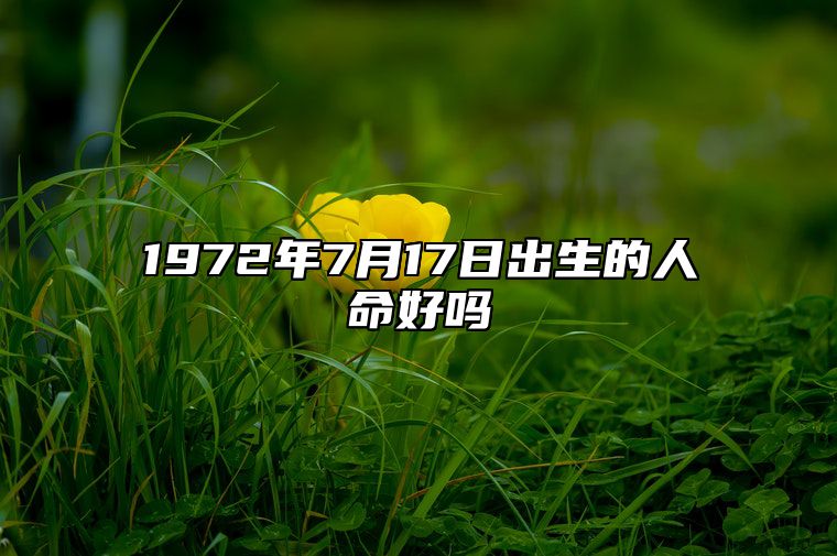 1972年7月17日出生的人命好吗 八字事业人生发展