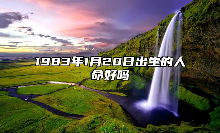 1983年1月20日出生的人命好吗 八字事业、婚姻、事业运势详解