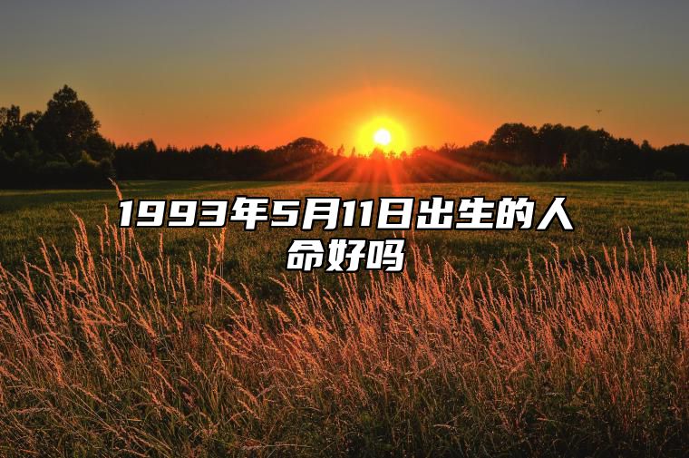 1993年5月11日出生的人命好吗 生辰八字分析五行缺什么