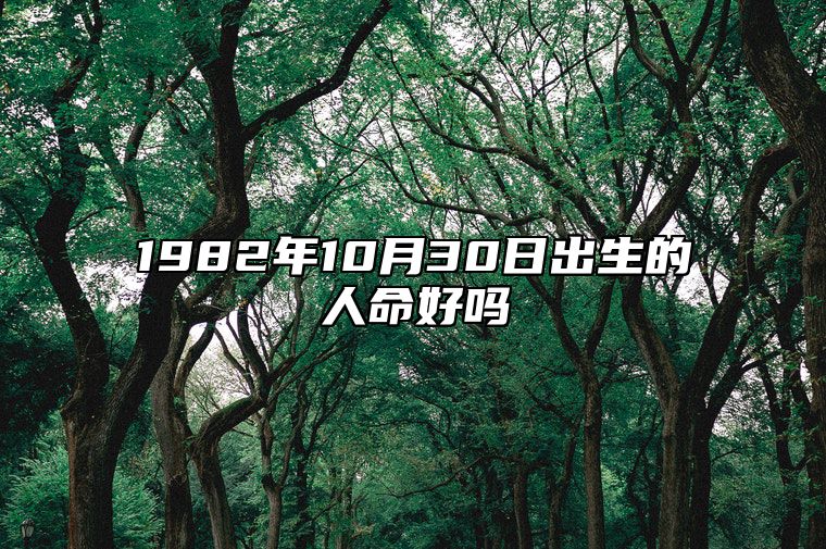 1982年10月30日出生的人命好吗 生辰八字解析