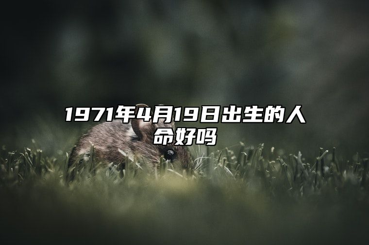 1971年4月19日出生的人命好吗 此日生辰八字详解