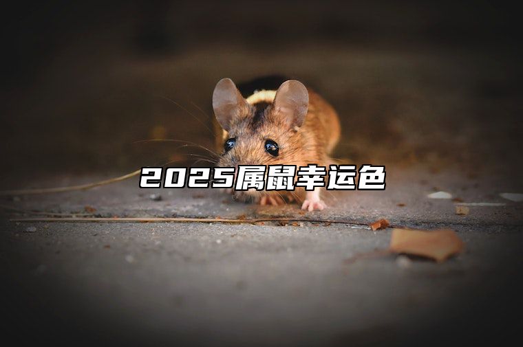 2025属鼠幸运色 鼠25年幸运色