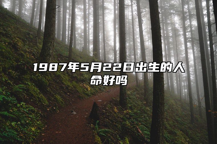 1987年5月22日出生的人命好吗 命运如何五行缺什么