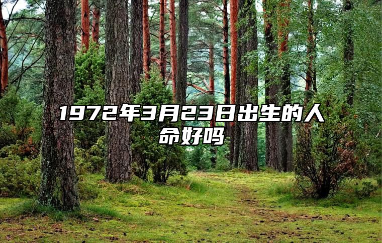 1972年3月23日出生的人命好吗 八字命运和运势走向