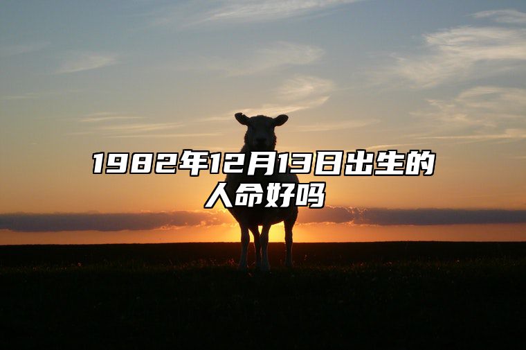 1982年12月13日出生的人命好吗 五行查询