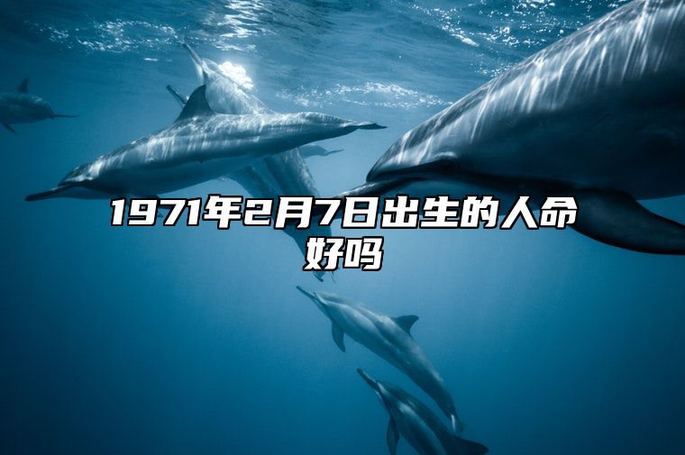 1971年2月7日出生的人命好吗 生辰八字、感情婚姻详解