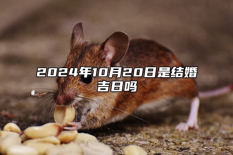 2024年10月20日是结婚吉日吗 老黄历查询