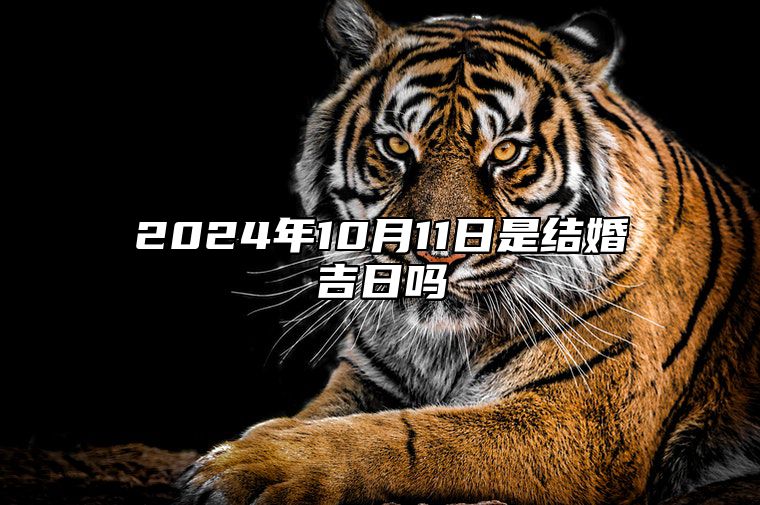 2024年10月11日是结婚吉日吗 哪一天吉利