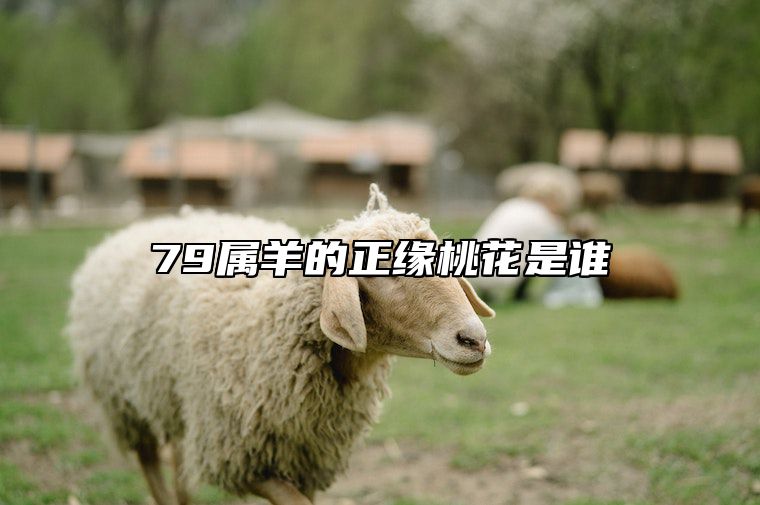 79属羊的正缘桃花是谁 79属羊人婚姻与命运