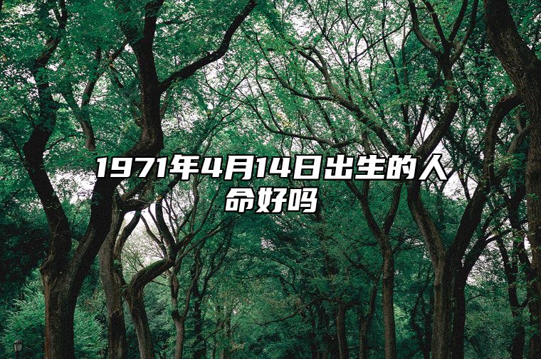 1971年4月14日出生的人命好吗 今日生辰八字运势详解