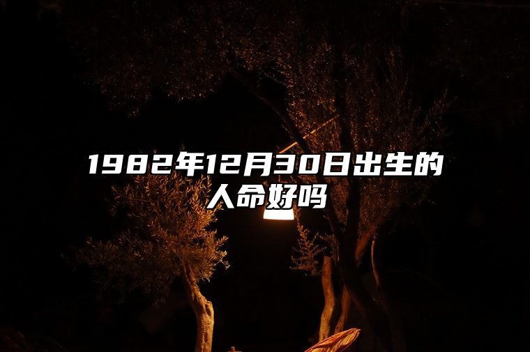 1982年12月30日出生的人命好吗 生辰八字五行解析