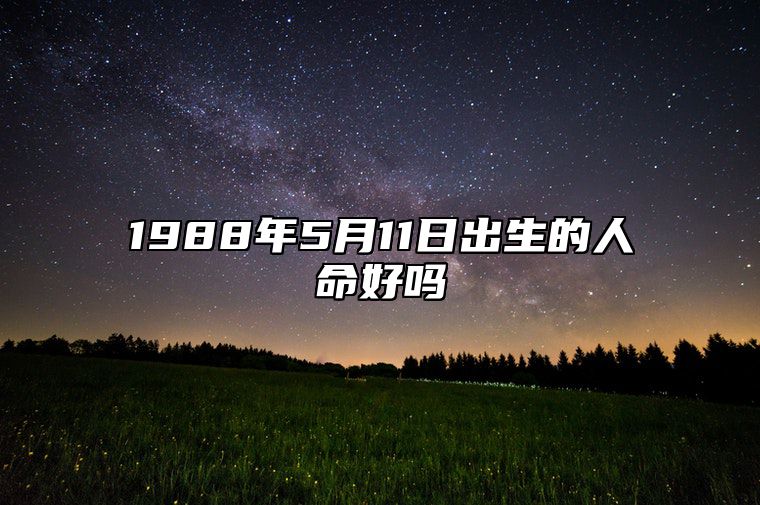 1988年5月11日出生的人命好吗 生辰八字解析