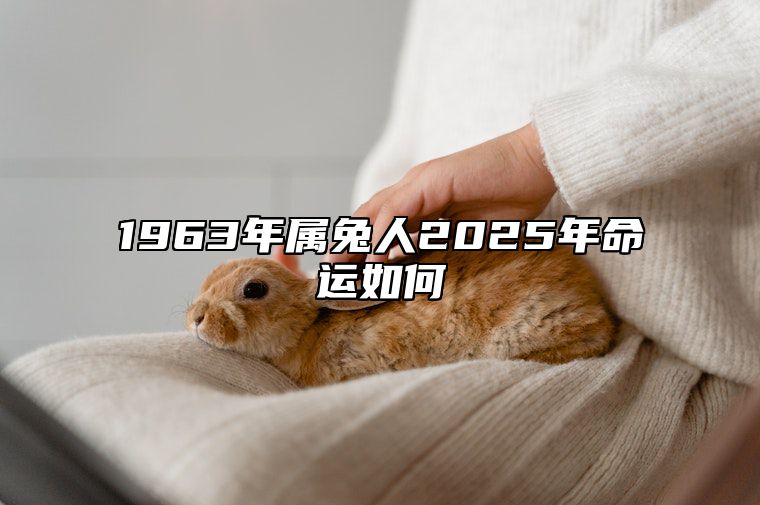 1963年属兔人2025年命运如何 1963年属兔在2023