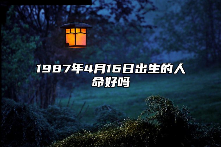 1987年4月16日出生的人命好吗 八字事业、感情婚姻、健康等运势详解