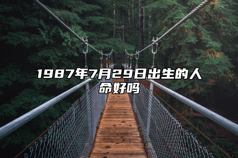 1987年7月29日出生的人命好吗 生辰八字解析