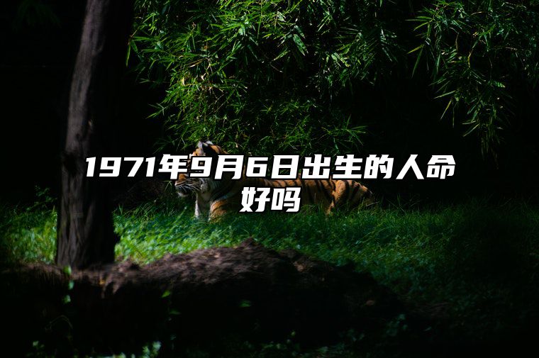 1971年9月6日出生的人命好吗 生辰八字运势、婚姻、事业分析