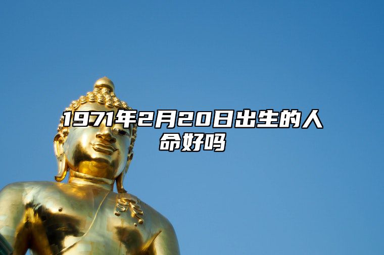 1971年2月20日出生的人命好吗 生辰八字、事业财运详解