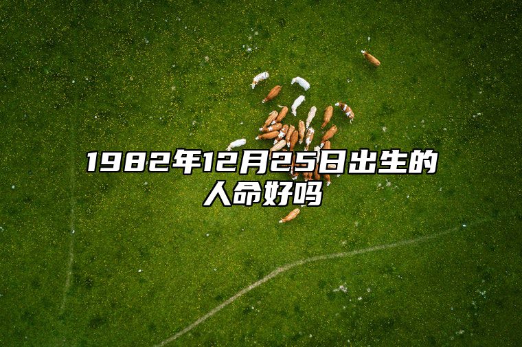 1982年12月25日出生的人命好吗 生辰八字、事业财运解析