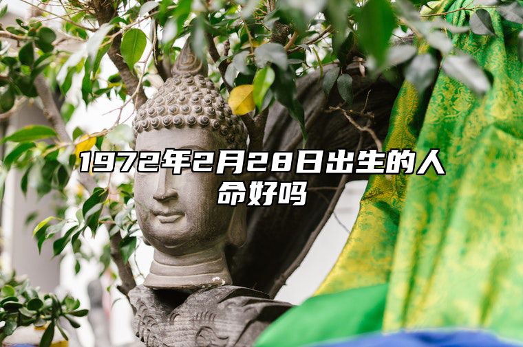 1972年2月28日出生的人命好吗 八字运势、婚姻、事业详解