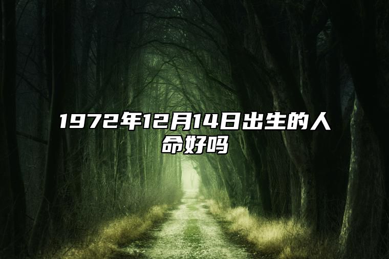 1972年12月14日出生的人命好吗 姻缘婚姻,事业人生发展