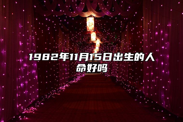 1982年11月15日出生的人命好吗 是什么命,五行缺什么