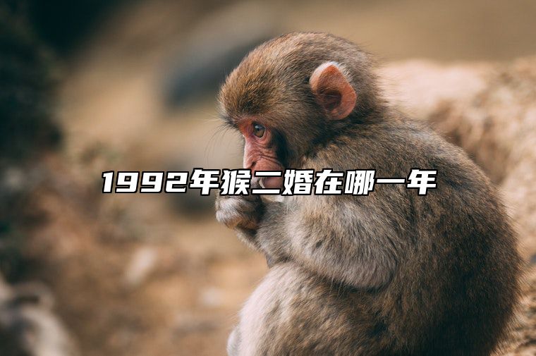 1992年猴二婚在哪一年 属猴人的终身伴侣是谁