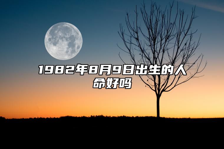 1982年8月9日出生的人命好吗 八字命运和运势走向