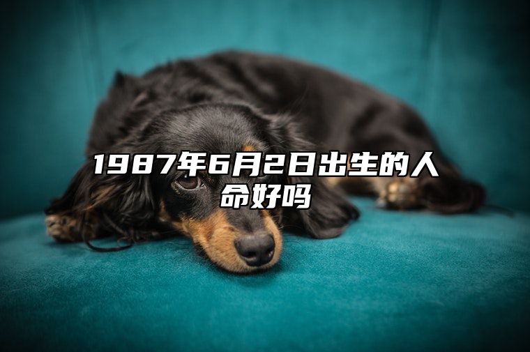 1987年6月2日出生的人命好吗 生辰八字查询