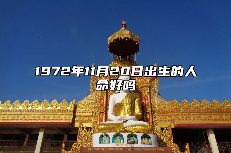 1972年11月20日出生的人命好吗 五行缺什么命运好不好