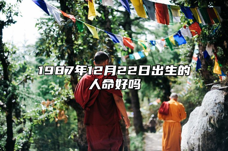 1987年12月22日出生的人命好吗 揭示性格特征与命运走向