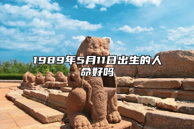 1989年5月11日出生的人命好吗 命运好不好