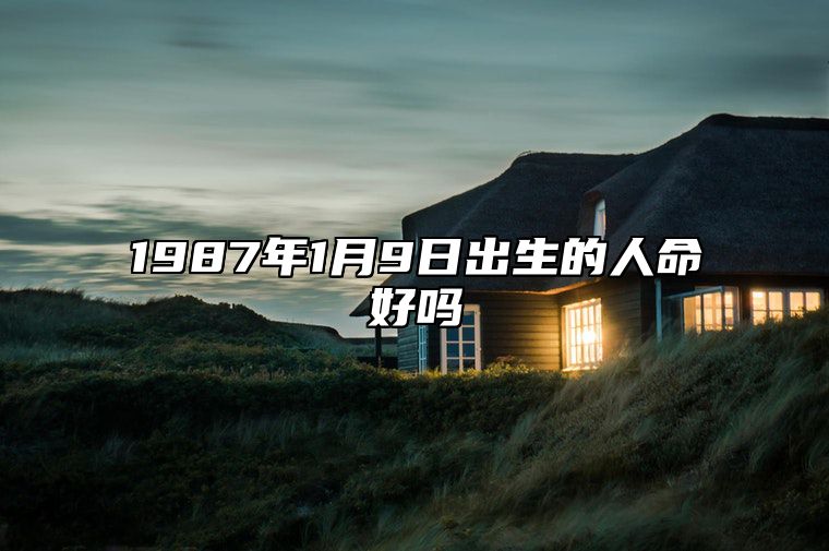 1987年1月9日出生的人命好吗 生辰八字、事业财运详解