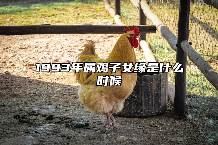 1993年属鸡子女缘是什么时候 93年属鸡女2021年子女缘