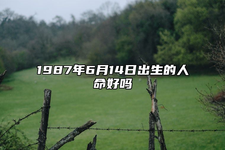 1987年6月14日出生的人命好吗 生辰八字解析