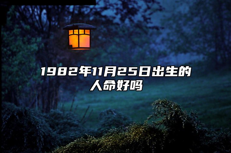 1982年11月25日出生的人命好吗 八字事业、婚姻、事业运势详解